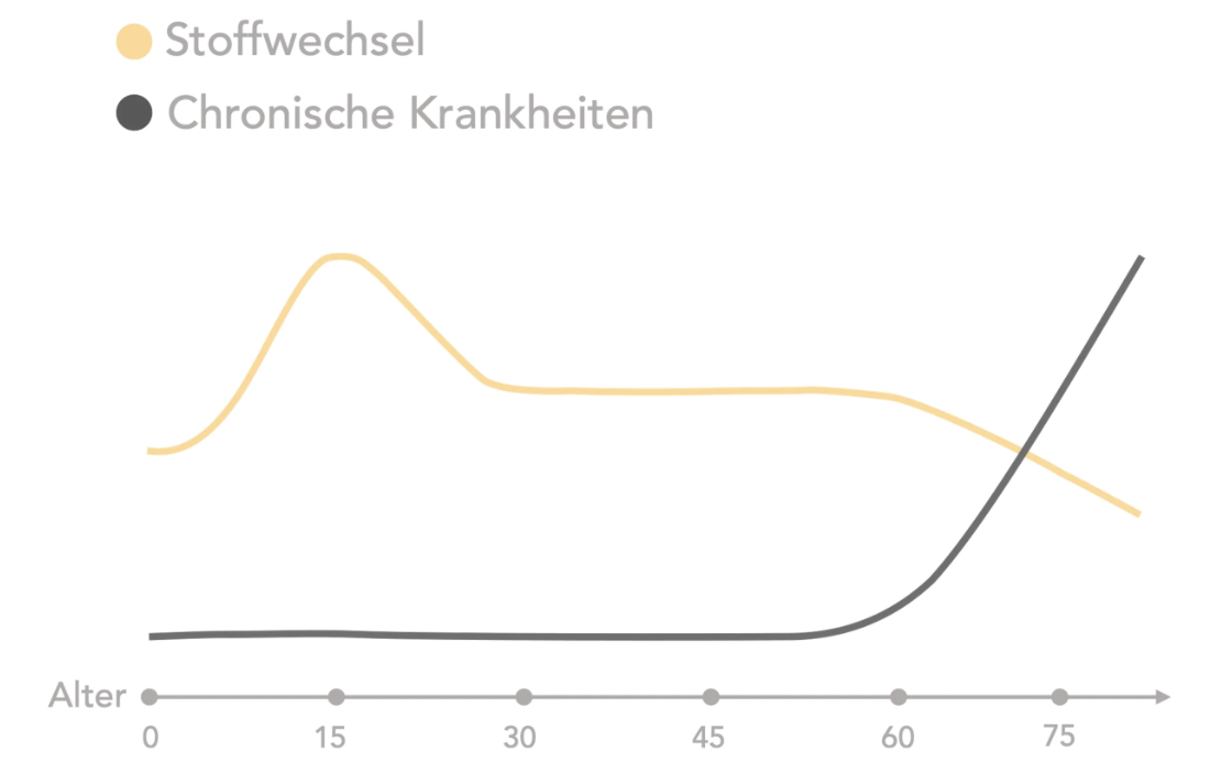 Stoffwechsel sinkt ab 30, chronische Krankheiten steigen
