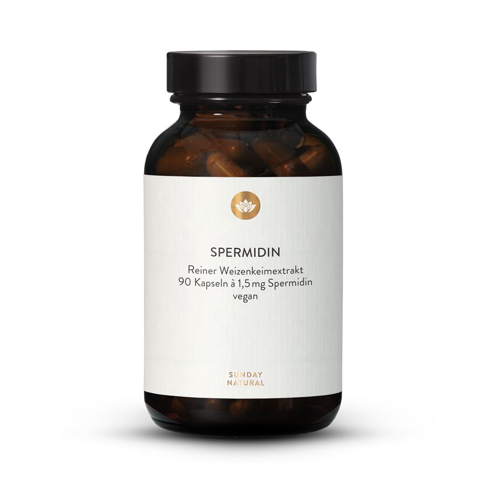 Spermidin Kapseln
